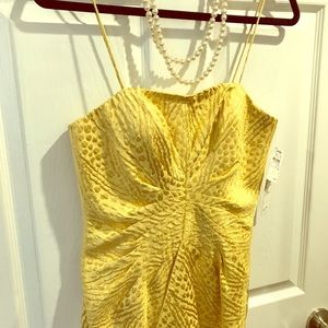 Gold and Yellow Chetta B Formal Dress- NWT